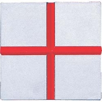 シンワ測定（株） 76911 シンワ　コノエマスターラインＭ－１