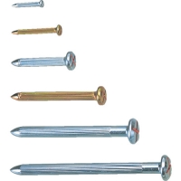 日本 MYZOX  N001-100 マイゾックス　アースネイル　（１００本入）