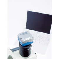 カートン光学（株） XR10015 カートン　クロス目盛リング２・４・６