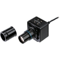 （株）エンジニア SL-62 エンジニア　ＵＳＢ対応ＣＭＯＳカメラ（顕微鏡用）