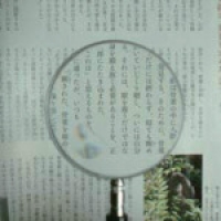 日本池田I.L.K  1230-P 池田レンズ　金枠製手持ちルーペ