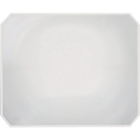 日本亚速旺 ASONE   1-2565-01 ＡＳ　ビッグアイ用レンズＦ角型レンズ