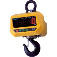 （株）クボタ計装 HS-CD-05-K クボタ　防水・防塵直示式ホイストスケール５００ｋｇ用（検定付）