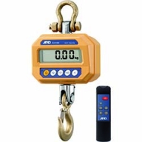 日本艾安得 AND   FJK100I Ａ＆Ｄ　クレーンスケール　１００ＫＧ