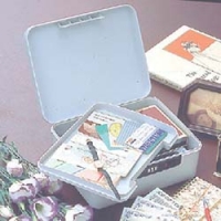 IRIS  PV-250-GY ＩＲＩＳ　ダイヤルロック式小物ＢＯ×　２５０×２０６×１０２　グレー