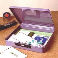 IRIS  PV-330-PL ＩＲＩＳ　ダイヤルロック式小物ＢＯ×　３３５×２８５×７２　パープル