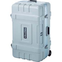 フジコーワ工業（株） FP-8SWC ＰＲＯＴＥＸ　ＣＯＲＥ　ＦＰ－８ＳＷＣ　グレー