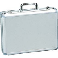 IRIS  LIA-9 ＩＲＩＳ　５５０４２３　リジェロ　ＬＩＡ－９　シルバー