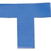 （株）岩田製作所 LPT5 ＩＷＡＴＡ　ラインプロＴタイプ（青）２枚入り