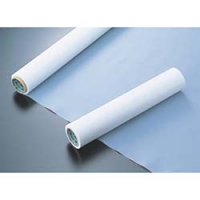 中興化成工業（株） MSF100-0.2X500 チューコーフロー　フッ素樹脂（ＰＴＦＥ）フィルム　ＭＳＦ－１００　０．２ｔＸ５００ｗＸ１０Ｍ