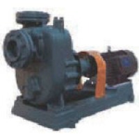 （株）寺田ポンプ製作所 50-P（50HZ） 寺田　セルプラポンプ　鋳鉄製ペアーポンプ　５０Ｈｚ