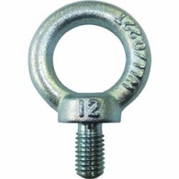 （株）タケネ TAI12022 タケネ　アイボルト（鉄製）　（１個＝１袋）