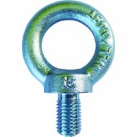 （株）タケネ TAI16027 タケネ　アイボルト（鉄製）　（１個＝１袋）