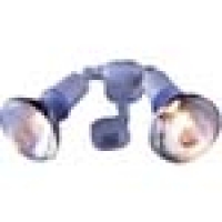 （株）ムサシ B-7300 ライテックス　防雨センサーライト屋外球１００ＷＸ２