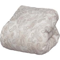 IRIS  FHPK-D-BE ＩＲＩＳ　ヒートプラス掛け布団　ペーズリーベージュ