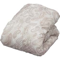 IRIS  FHPK-S-BE ＩＲＩＳ　ヒートプラス掛け布団　ペーズリーベージュ