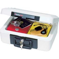 マスターロック・セントリー日本（株） 1100 セントリー　ポータブル３０分耐火保管庫１１００　３６２×２７９×１５６