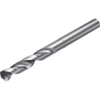 サンドビック（株）コロマントカンパニー 863.1-0953-039A1-OS（H10F） サンドビック　コロドリル８６３　Ｈ１０Ｆ