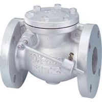 （株）キッツ 10FCOU-C80 キッツ　鋳鉄一般弁