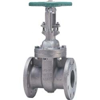 （株）キッツ 10UMAM20 キッツ　ステンレス製Ａシリーズ