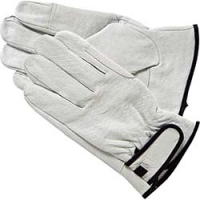 アトム（株） 2042-LL アトム　豚クレスト　マジック　ＳＴ　ＬＬ