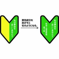 （株）グリーンクロス 1150220002 グリーンクロス　ヘルメット用教育修了者ステッカー無事故