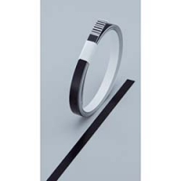 （株）日本緑十字社 235313 緑十字　ヘルメット用ラインテープ　黒　１０幅×７００ｍｍ　１０本組　無反射