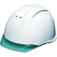 G ＤＩＣ　ＡＰ１１－ＣＷホワイト　（バイザー）グリーンＫＰ