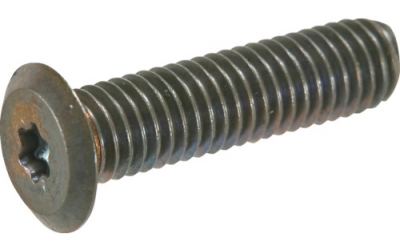 日本中山TRUSCO_B186 - 0204_超极低头螺纹不锈钢青铜M2×4 10个入