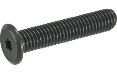 日本中山TRUSCO_B185 - 0204_超极低头螺丝不锈钢黑染 M2×4 10个输入