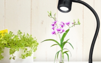 日本进口 NIKKI  日机 LED植物灯  NLSS03BD4-AC 电源线 2m（交流/直流适配器）