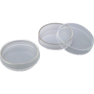 日本亚速旺 ASONE   2-3977-04 ＡＳ　シャーレ　３１６００８１