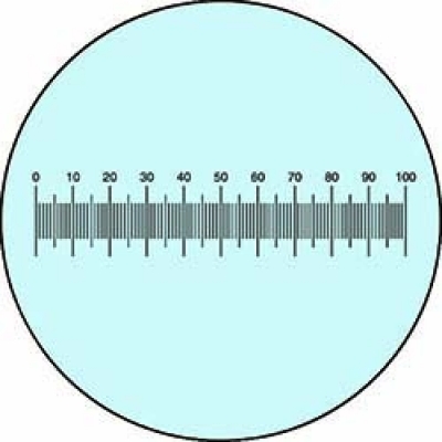 カートン光学（株） XR10012 カートン　水平目盛１０／１００ｍｍ