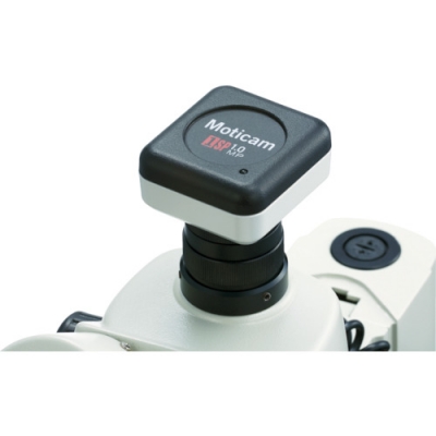 （株）モリテックス US-W800I-3 モリテックス　【売切り廃番】ライトスコープ