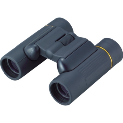 日本池田I.L.K  895 池田レンズ　ダハタイプ双眼鏡　８ｘ２１