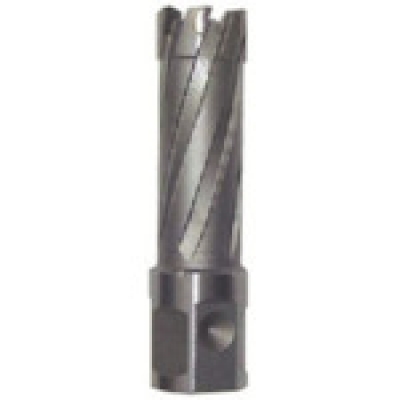 育良精機（株） CRSQ300 育良　ライトボーラー用替刃（超硬刃）（５１１０２）