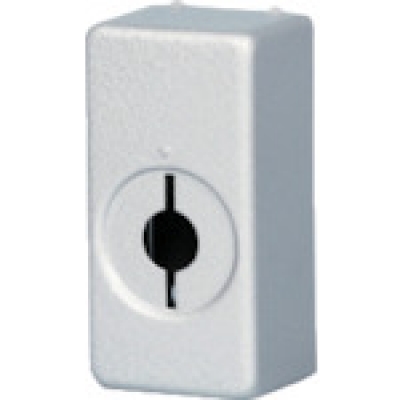 日本八光电机 HAKKODENKI  EA-BOX ロバートショウ EAボックス