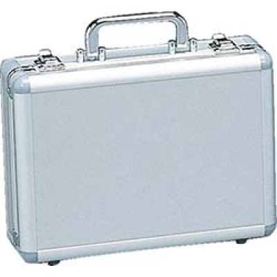 IRIS  LIA-28P ＩＲＩＳ　５５０４２１　リジェロ　ＬＩＡ－２８Ｐ　シルバー