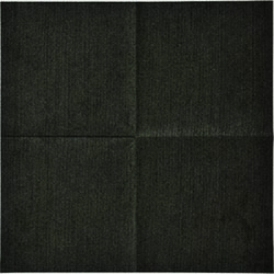 （株）日本緑十字社 354040 緑十字　デンキトールワイピングクロス（静電気除去シート）　２５０×２５０ｍｍ