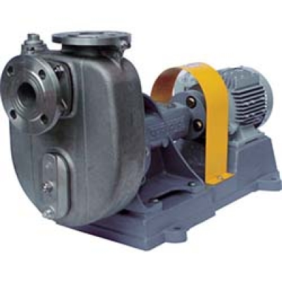 （株）寺田ポンプ製作所 CO-1 50HZ 寺田　セルプラポンプ　ステンレス製グランドパッキン式　５０Ｈｚ