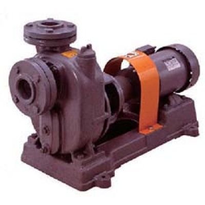 （株）寺田ポンプ製作所 O-1GS（50HZ） 寺田　セルプラポンプ　鋳鉄製グランド式　５０Ｈｚ