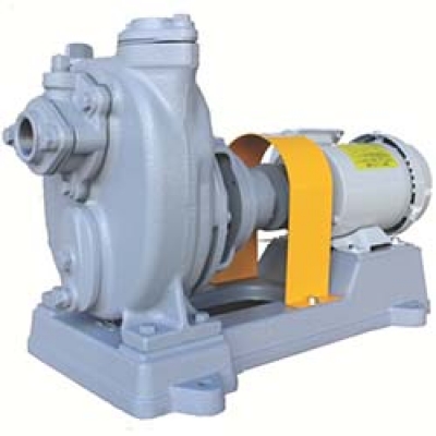 （株）寺田ポンプ製作所 O-1G 60HZ 寺田　セルプラポンプ　鋳鉄製グランド式　６０Ｈｚ