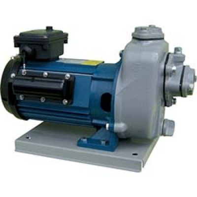 （株）寺田ポンプ製作所 MPT1-0021R 50HZ 寺田　セルプラポンプ　単相１００Ｖ　全閉外扇屋外形モートル付　５０Ｈｚ