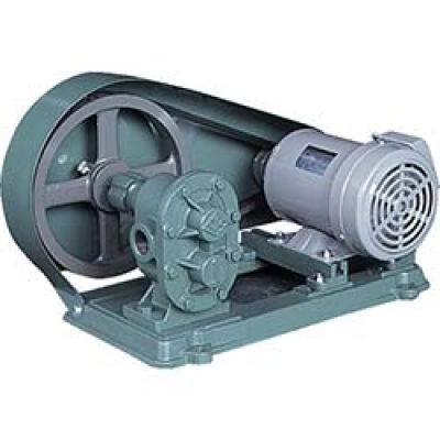 （株）亀嶋鐵工所 KAS06 ＮＫ　ギヤーポンプ（電動機連結型）