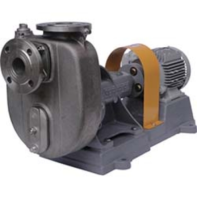 （株）寺田ポンプ製作所 CO-2 50HZ 寺田　セルプラポンプ　ステンレス製グランドパッキン式　５０Ｈｚ