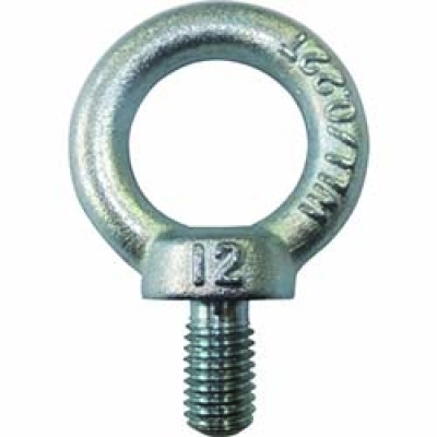 （株）タケネ TAI12022 タケネ　アイボルト（鉄製）　（１個＝１袋）