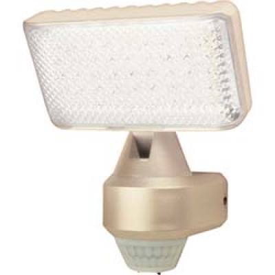 （株）大進 900888 ＤＡＩＳＨＩＮ　ビッグライト　ＬＥＤセンサーライト