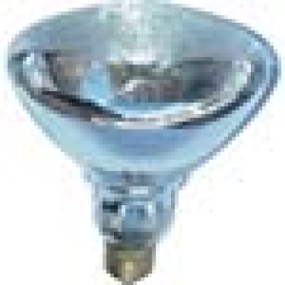 （株）ムサシ SA-112 ダンケ　ビーム球　１００Ｗ