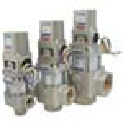 日本精器（株） BN-5BP21-25-F24 日本精器　２方向シリンダバルブ　２５Ａ　ＤＣ２４Ｖ