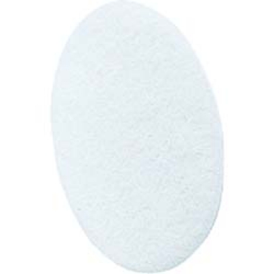 （株）重松製作所 02601 シゲマツ　ペイントメイトフィルタＬ　（１０枚入）